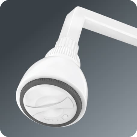 Adjustable Shower with Flange