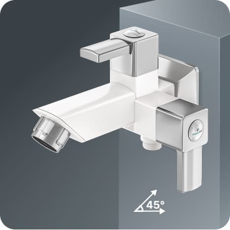 Two Way Bib Cock With Flange