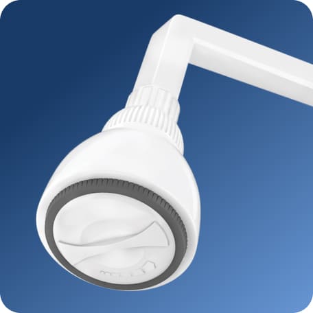 Adjustable Shower with Flange